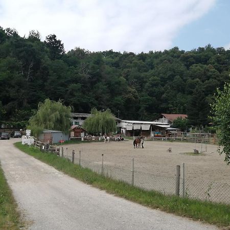 Locazione Turistica Varaita-Brossasco Eksteriør bilde