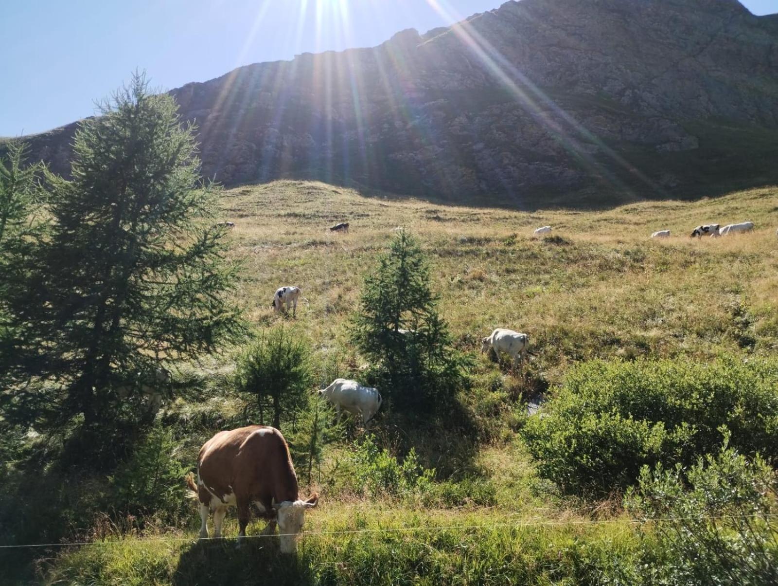 Locazione Turistica Varaita-Brossasco Eksteriør bilde